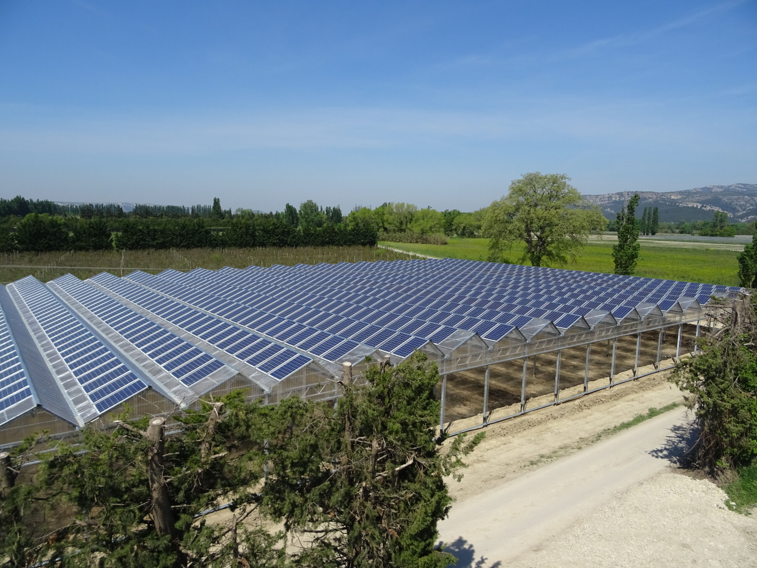 Serres agrivoltaïques