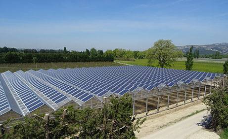 Serre agricole photovoltaïque
