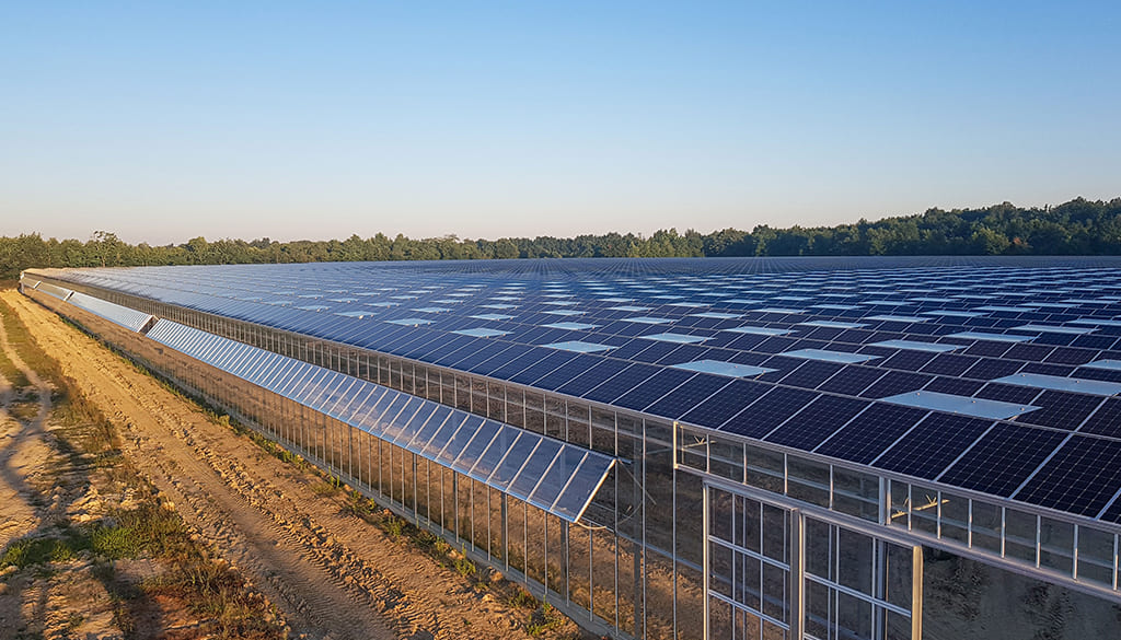 Serre agricole photovoltaïque avec panneaux solaires intégrés sur toiture