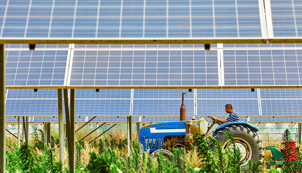 Panneaux photovoltaïques installés sur une exploitation agricole