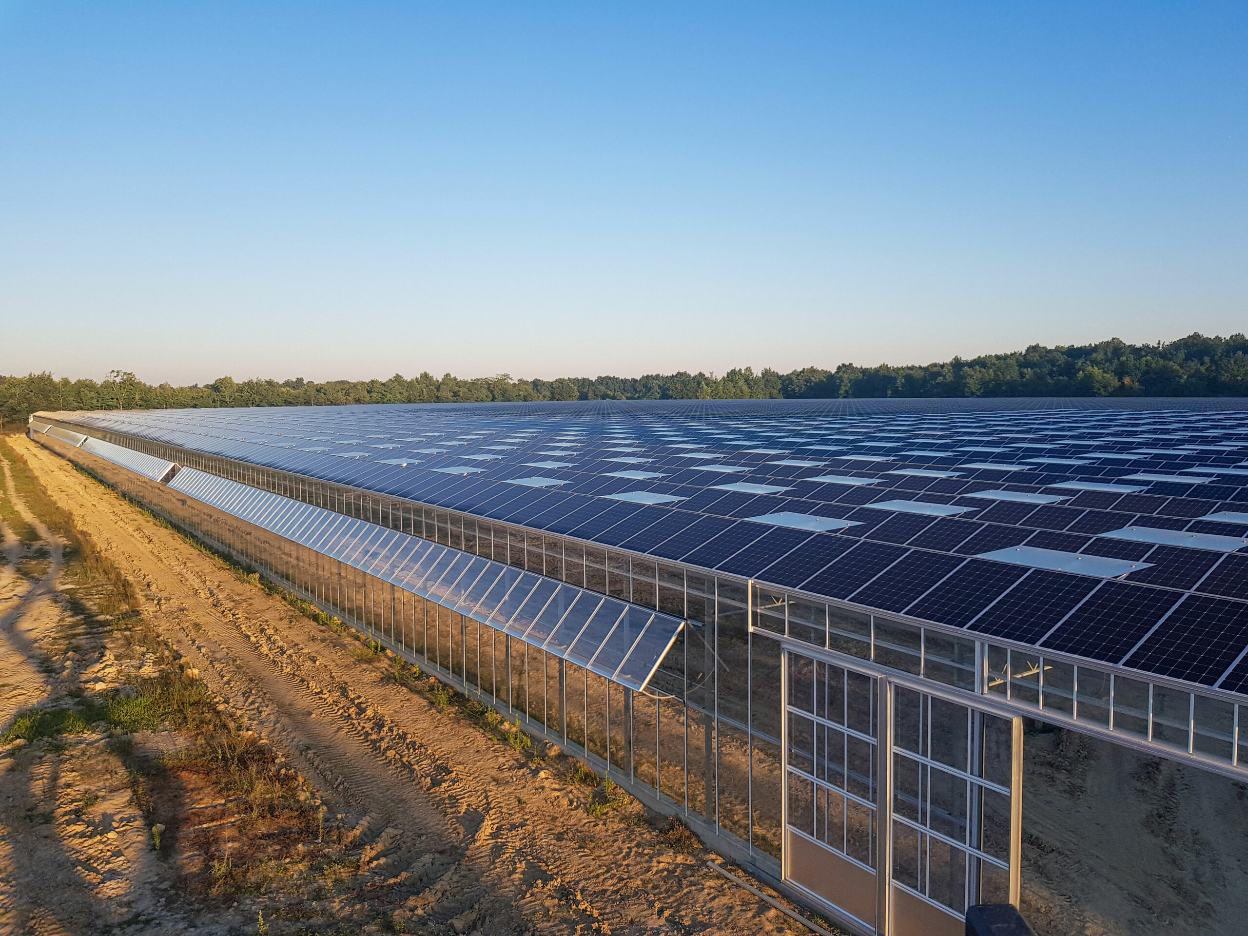 Serre agricole équipée de panneaux solaires