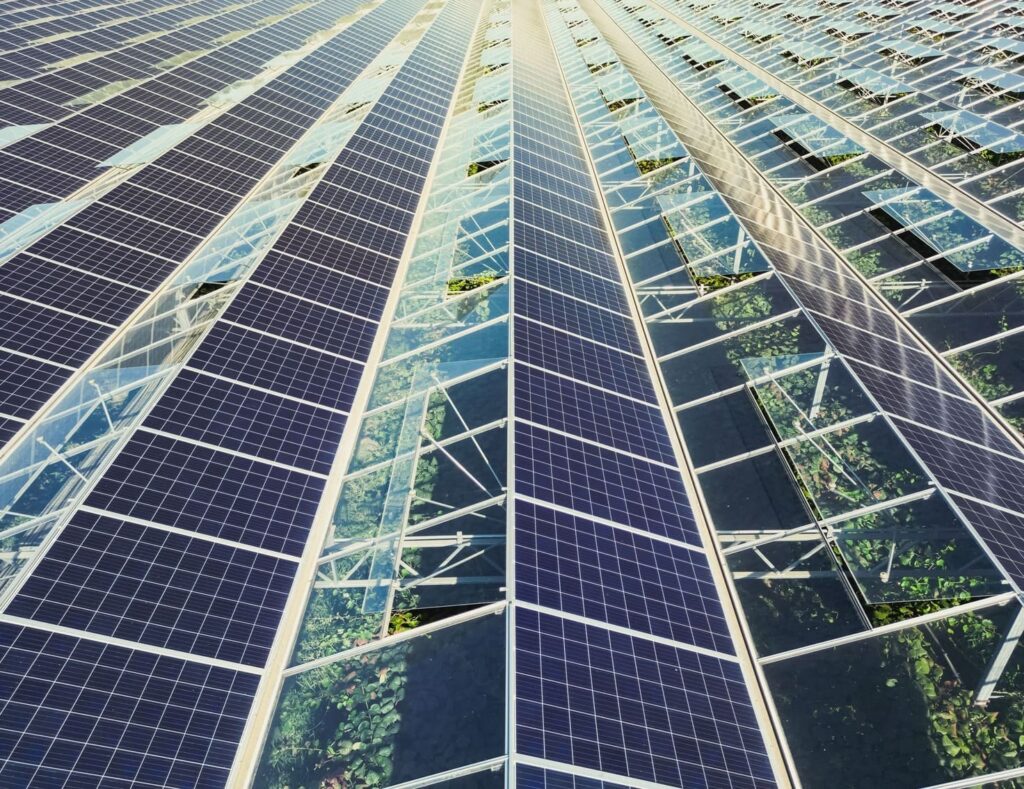 Serre agricole photovoltaïque construite grâce à un financement par investisseur, adaptée à l’exploitation maraîchère.