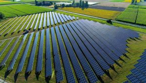 Centrale photovoltaïque au sol sur terrain agricole de 1 hectare