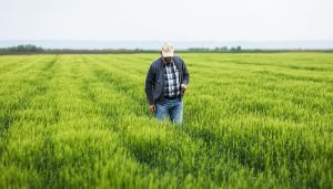 Jean-Michel sur son exploitation agricole
