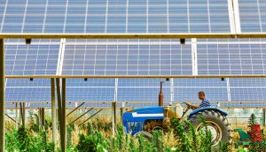 Panneaux photovoltaïques installés sur une exploitation agricole